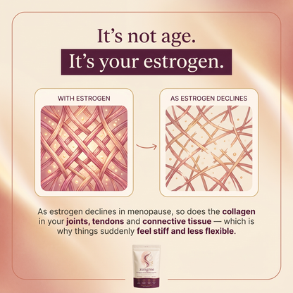 Zungree Menopause Joint & Mobility Gummies